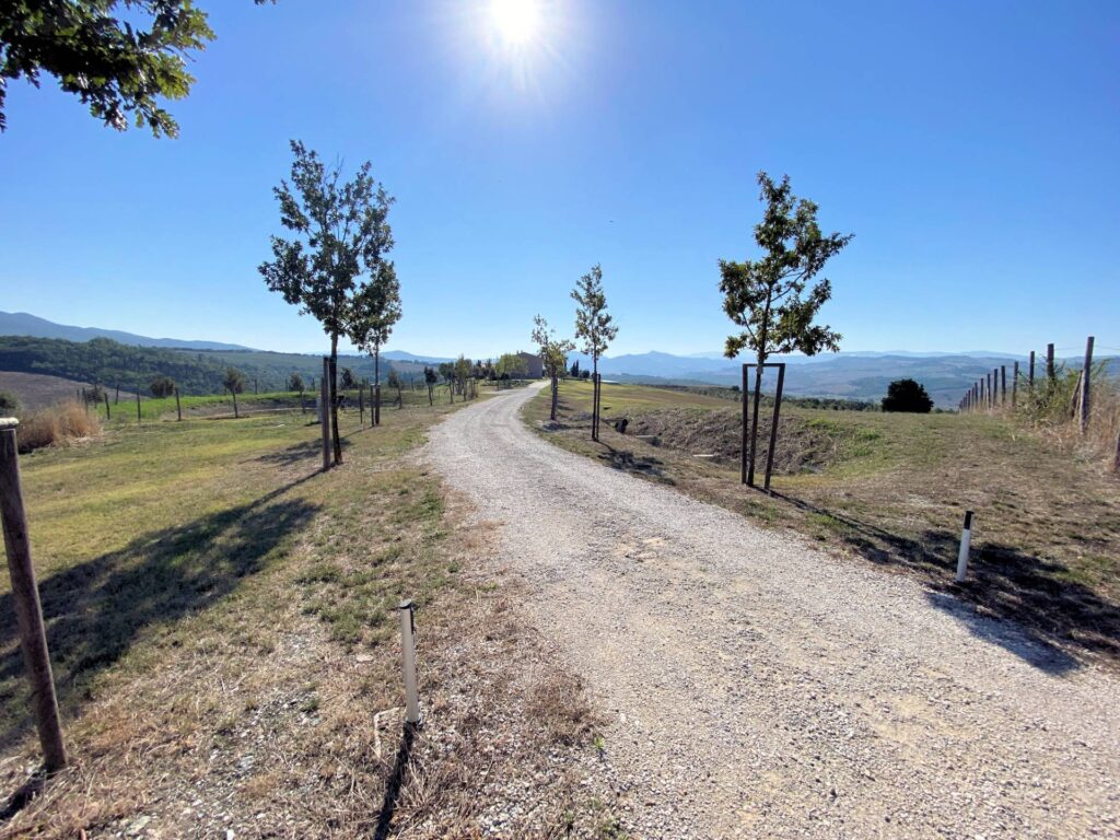 1538-Proprieta' prestigiosa in un'oasi di pace e bellezza naturalistica-Volterra-10 Agenzia Immobiliare ASIP