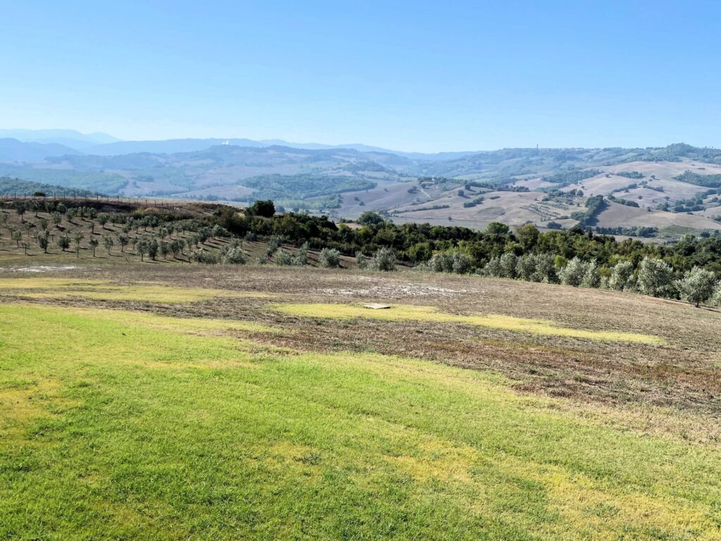 1538-Proprieta' prestigiosa in un'oasi di pace e bellezza naturalistica-Volterra-13 Agenzia Immobiliare ASIP