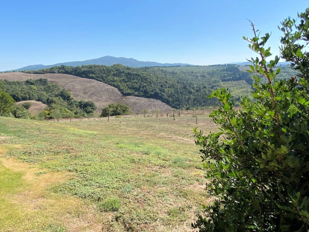 1538-Proprieta' prestigiosa in un'oasi di pace e bellezza naturalistica-Volterra-17 Agenzia Immobiliare ASIP