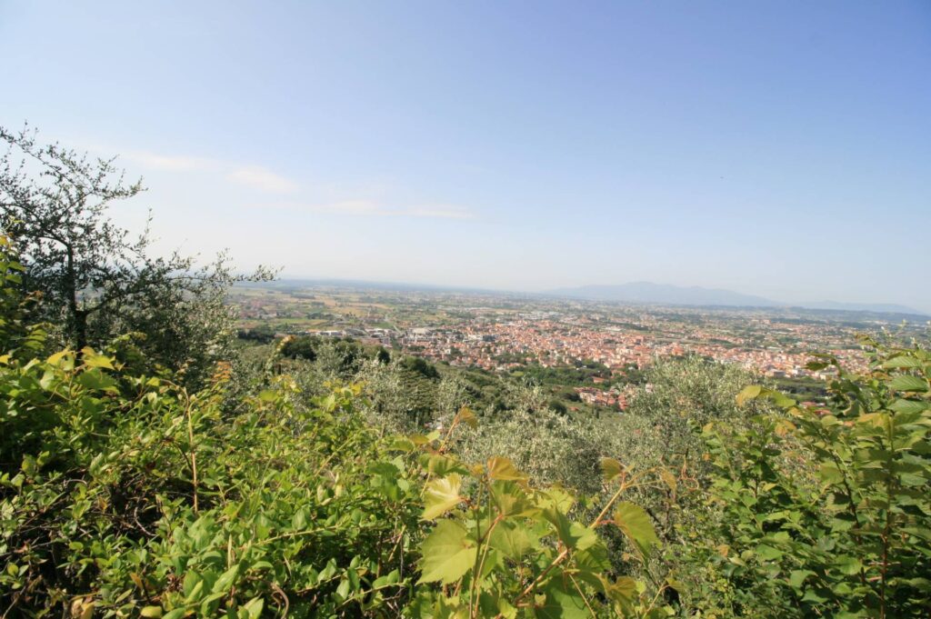 1700-Attico disposto su due livelli completamente ristrutturato con ampie terrazze panoramiche e ascensore-Montecatini-Terme-27 Agenzia Immobiliare ASIP