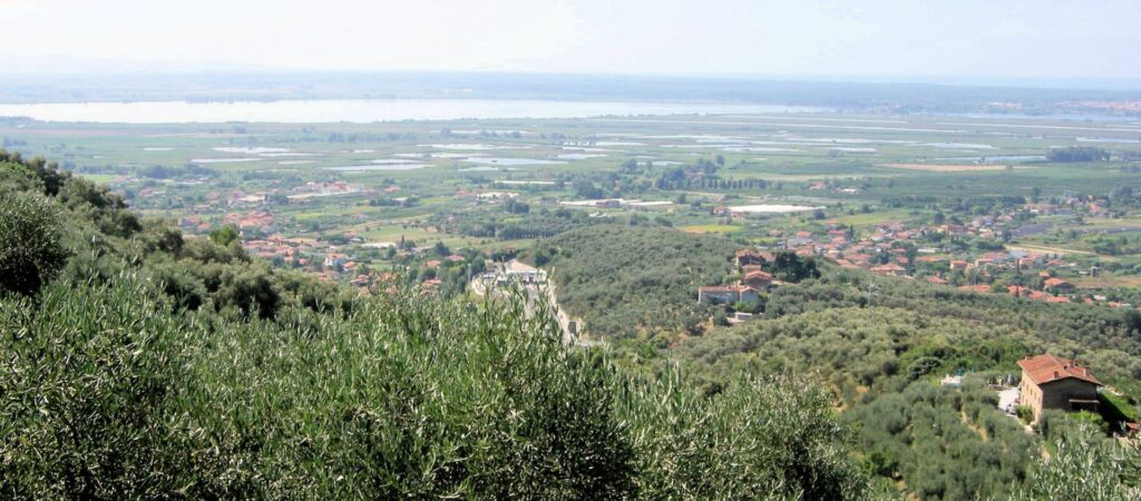 832-Villini bifamiliari di nuova progettazione con parco piscina e vista mare-Massarosa-8 Agenzia Immobiliare ASIP