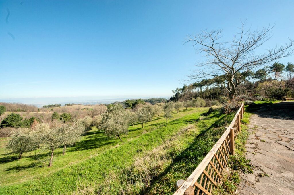 930-Bel casale ristrutturato in posizione panoramica con ampio terreno-Chianni-2 Agenzia Immobiliare ASIP