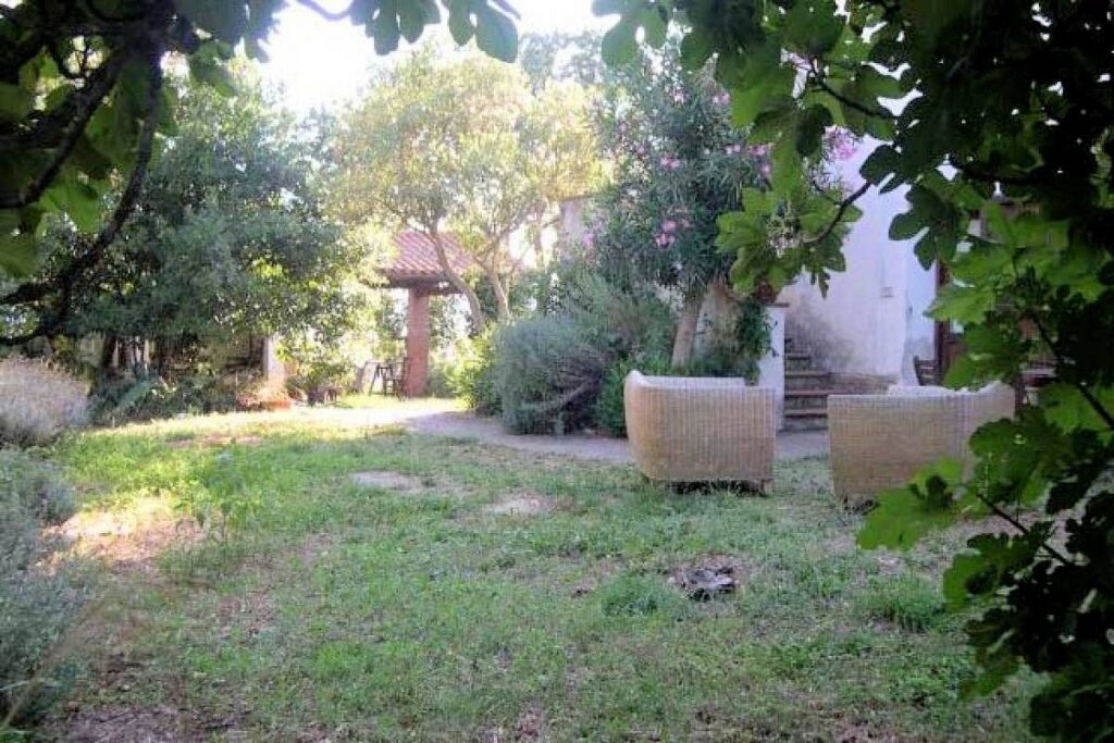 1434-Azienda agricola in posizione collinare con vista mare-Magliano in Toscana-14 Agenzia Immobiliare ASIP