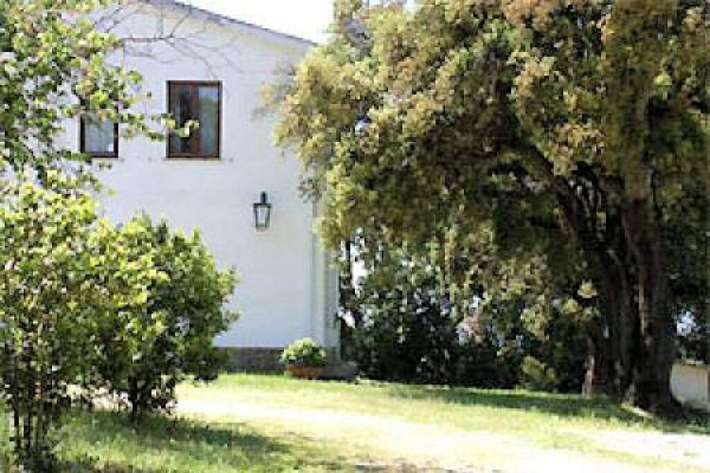 1434-Azienda agricola in posizione collinare con vista mare-Magliano in Toscana-9 Agenzia Immobiliare ASIP