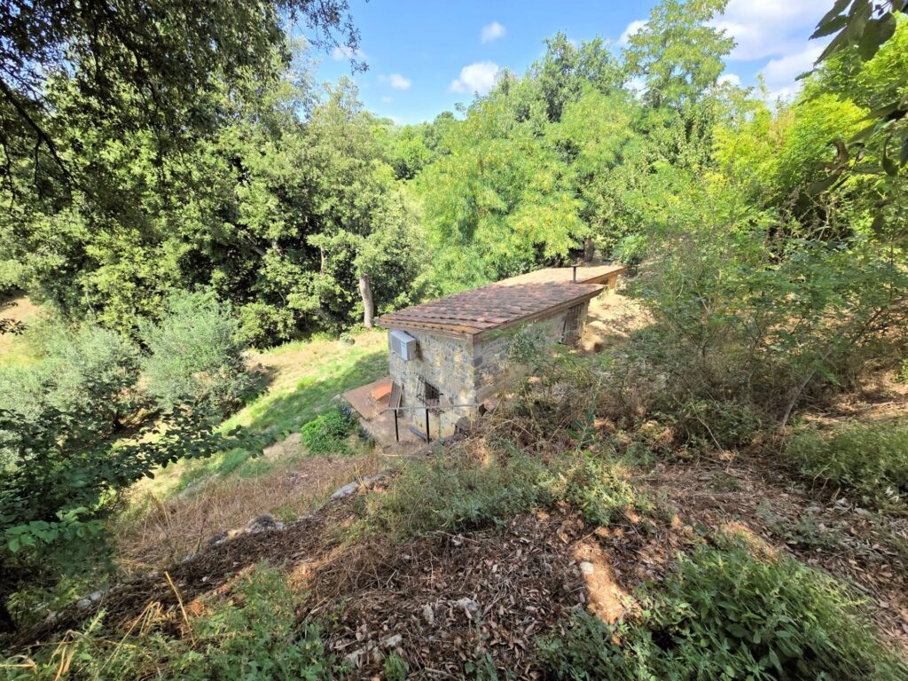 1539-Antico fienile completamente ristrutturato con giardino e annessi  posto in un piccolo borgo-Colle di Val d'Elsa-12 Agenzia Immobiliare ASIP