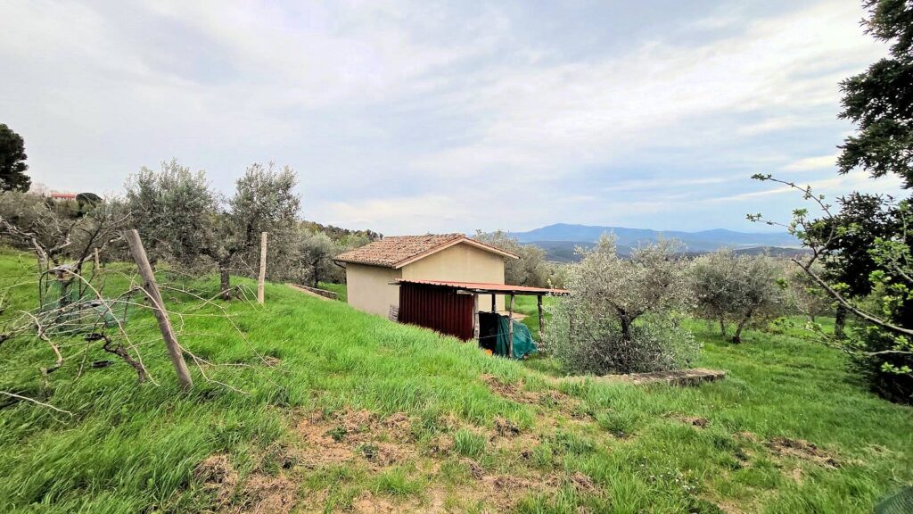 1510-Podere in posizione collinare con ampio terreno e vista panoramica fino al mare-Roccastrada-6 Agenzia Immobiliare ASIP
