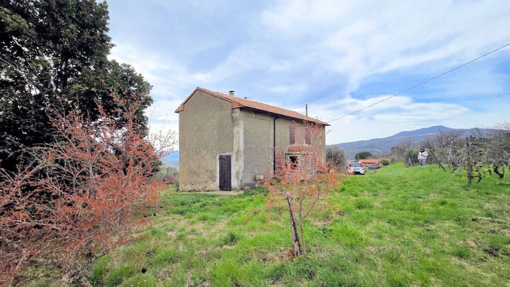 1510-Podere in posizione collinare con ampio terreno e vista panoramica fino al mare-Roccastrada-8 Agenzia Immobiliare ASIP