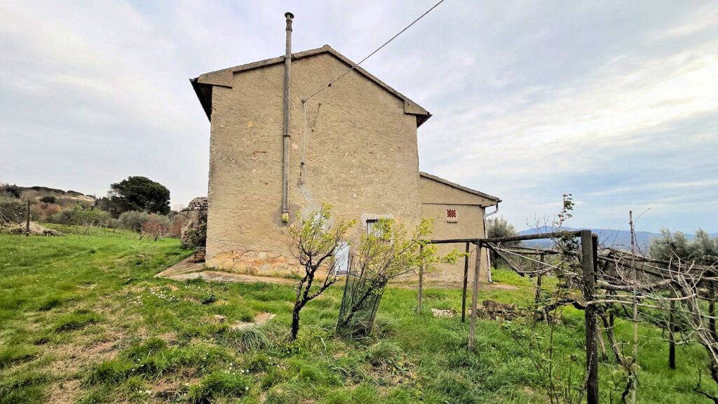1510-Podere in posizione collinare con ampio terreno e vista panoramica fino al mare-Roccastrada-14 Agenzia Immobiliare ASIP
