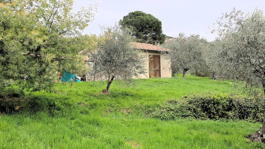 1510-Podere in posizione collinare con ampio terreno e vista panoramica fino al mare-Roccastrada-12 Agenzia Immobiliare ASIP