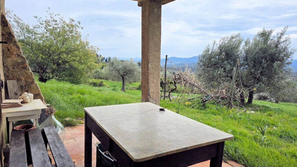 1510-Podere in posizione collinare con ampio terreno e vista panoramica fino al mare-Roccastrada-10 Agenzia Immobiliare ASIP