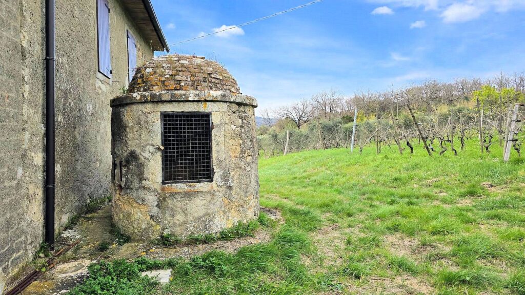 1510-Podere in posizione collinare con ampio terreno e vista panoramica fino al mare-Roccastrada-11 Agenzia Immobiliare ASIP