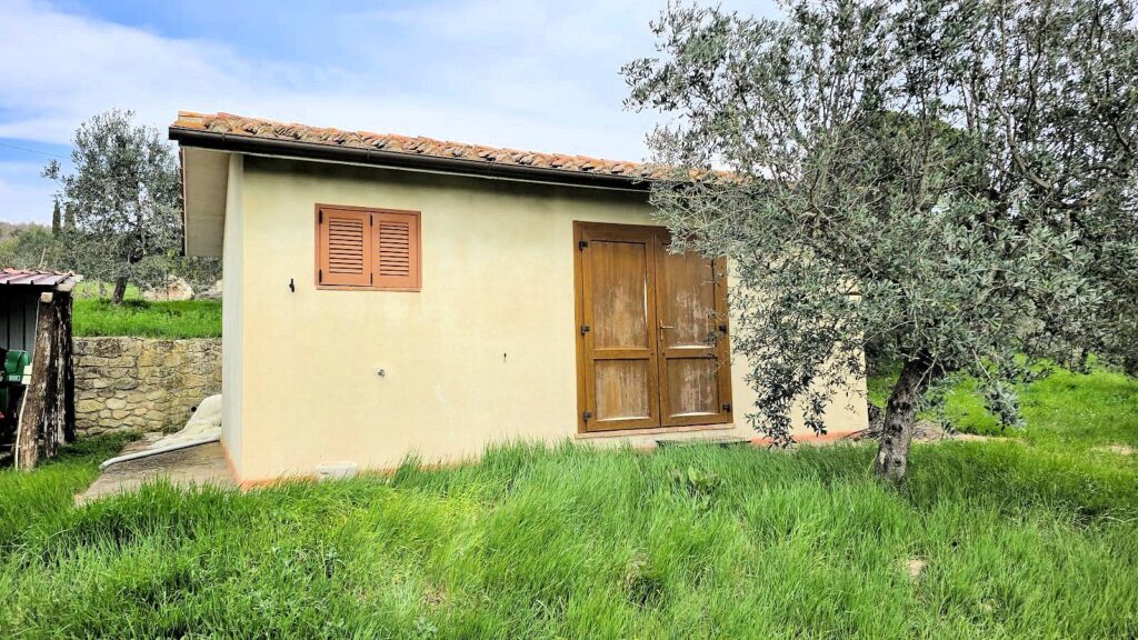 1510-Podere in posizione collinare con ampio terreno e vista panoramica fino al mare-Roccastrada-16 Agenzia Immobiliare ASIP