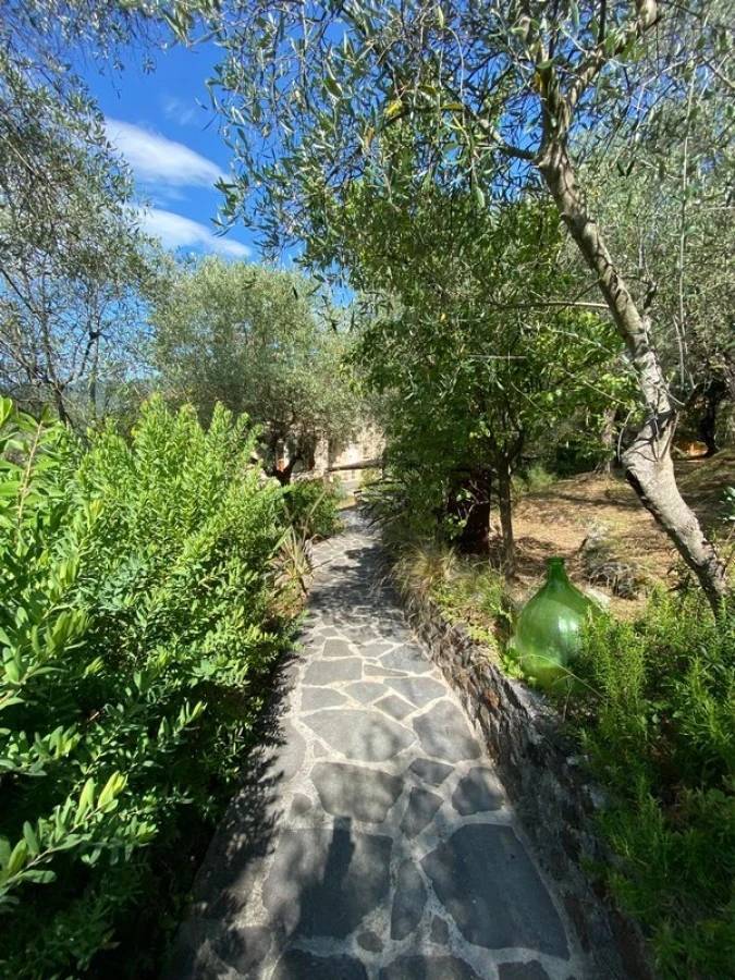 1704-Rustico in stile Toscano con giardino e piscina  in ottima posizione-Camaiore-9 Agenzia Immobiliare ASIP