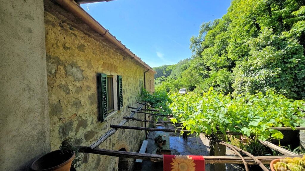 1705-Podere da ristrutturare in posizione collinare-Roccastrada-5 Agenzia Immobiliare ASIP