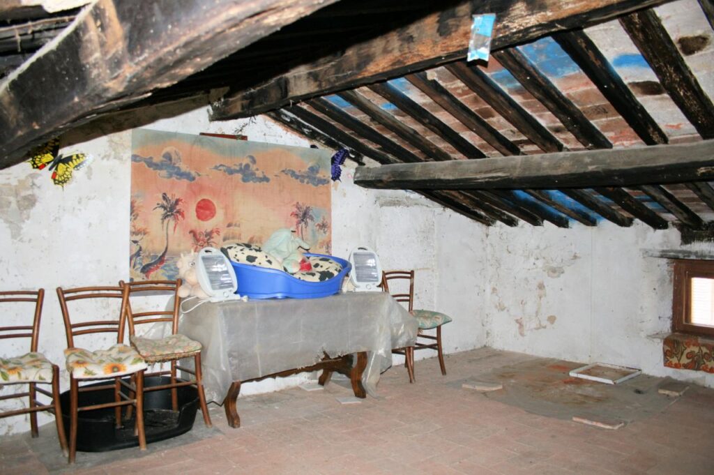 404-Terratetto unifamiliare indipendente-Manciano-13 Agenzia Immobiliare ASIP