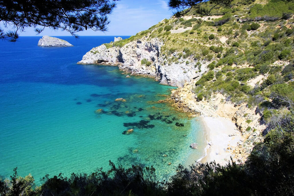 421-Gestione attivita' commerciale di complesso turistico ricettivo-Monte Argentario-7 Agenzia Immobiliare ASIP