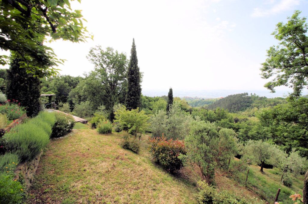 496-Casa colonica con piscina e vista panoramica-Buggiano-3 Agenzia Immobiliare ASIP