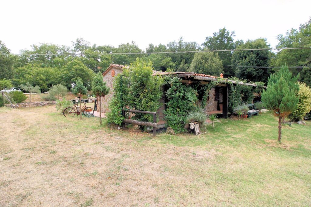 538-Rustici con vista panoramica-Roccastrada-4 Agenzia Immobiliare ASIP