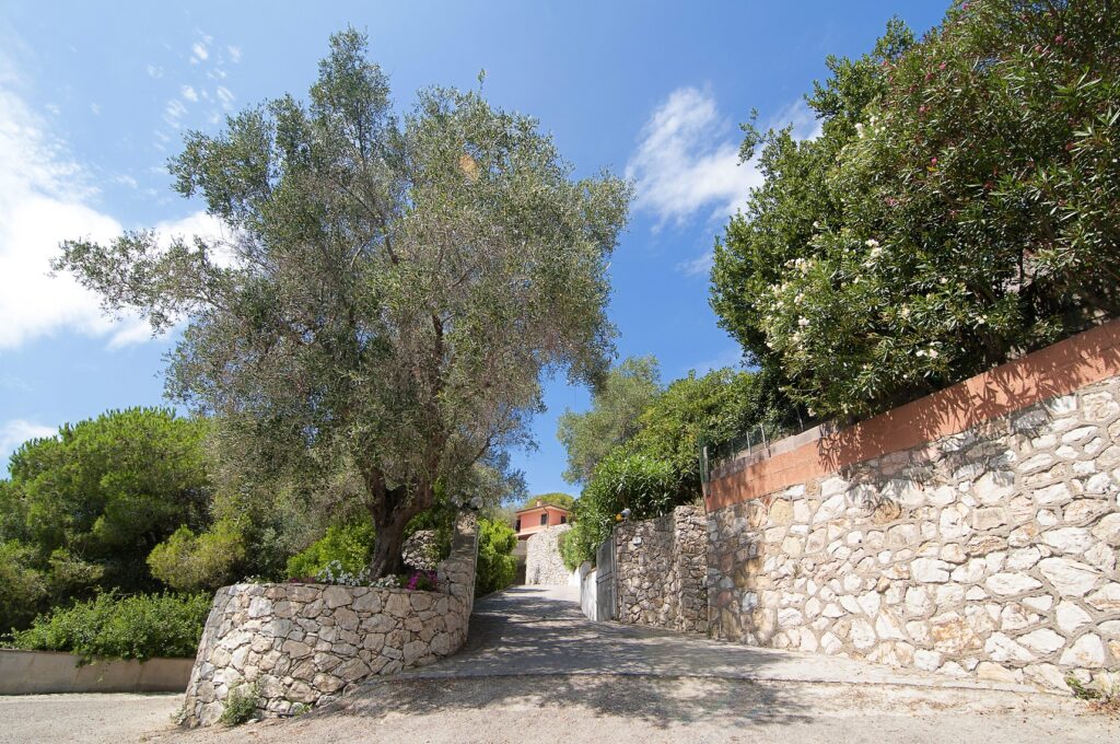 712-Villa di lusso con parco piscina e vista mare-Portoferraio-17 Agenzia Immobiliare ASIP