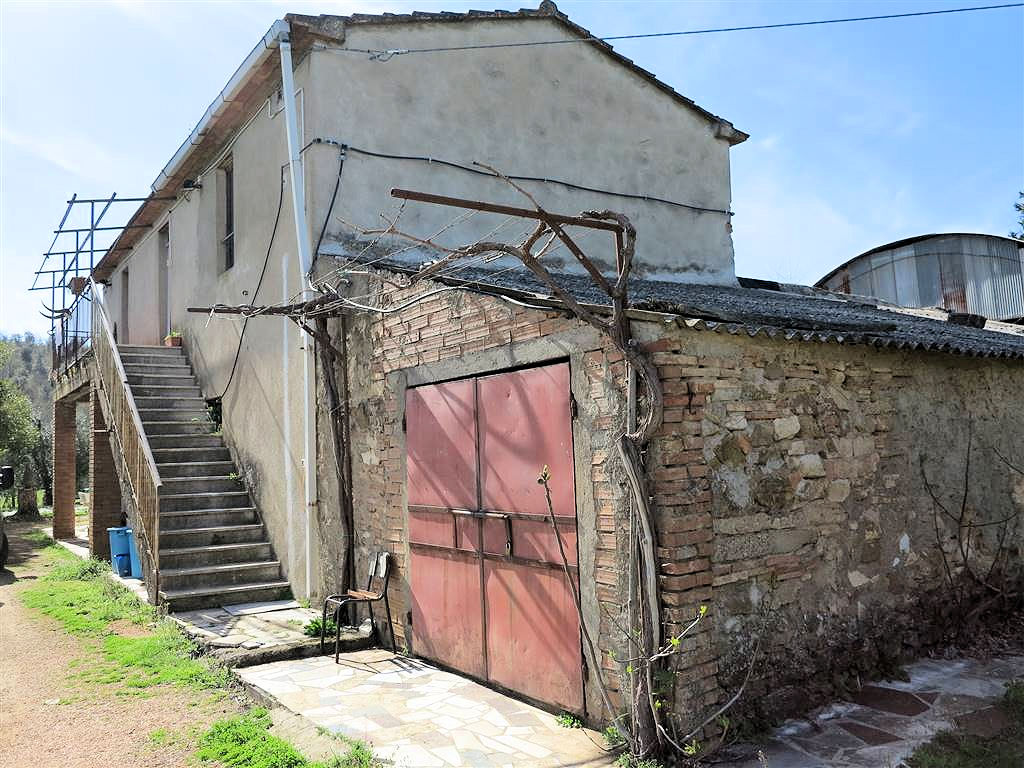 805-Podere panoramico in Maremma-Gavorrano-3 Agenzia Immobiliare ASIP