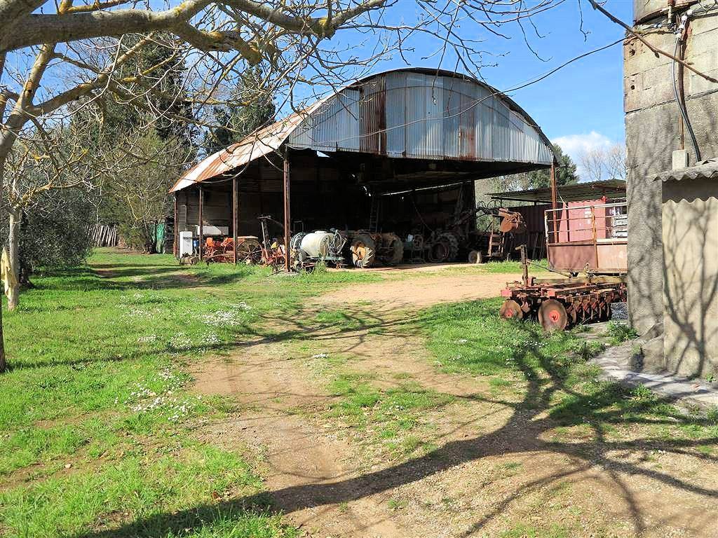 805-Podere panoramico in Maremma-Gavorrano-4 Agenzia Immobiliare ASIP