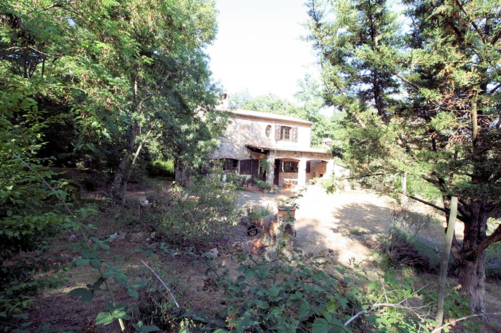 1361-Rustico in stile Toscano con dependances  immerso nel bosco-Montieri-5 Agenzia Immobiliare ASIP