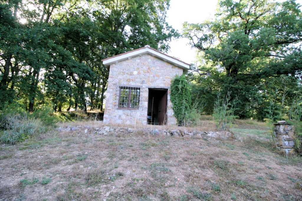 1361-Rustico in stile Toscano con dependances  immerso nel bosco-Montieri-17 Agenzia Immobiliare ASIP