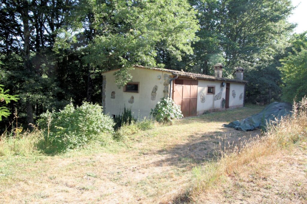 1361-Rustico in stile Toscano con dependances  immerso nel bosco-Montieri-19 Agenzia Immobiliare ASIP
