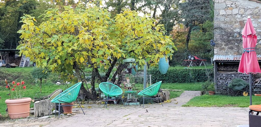 1507-Casa indipendente ristrutturata con terreno e vista panoramica-Roccastrada-6 Agenzia Immobiliare ASIP