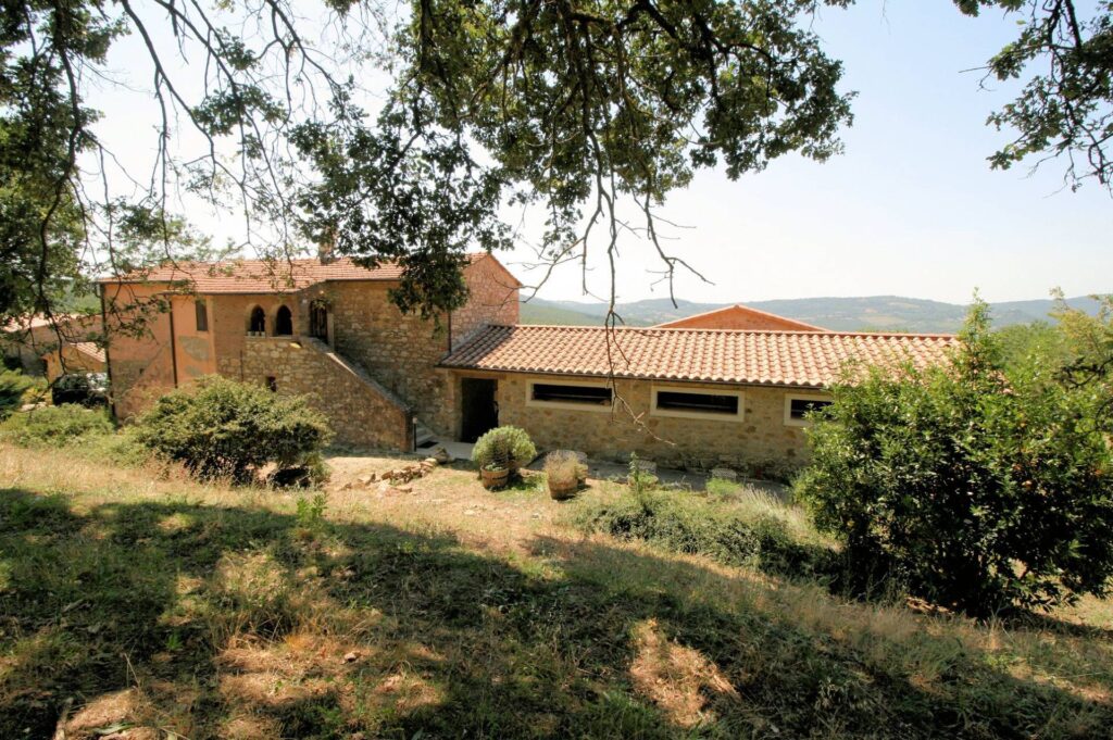 1541-Azienda vitivinicola con produzione di vini di alta qualita' in posizione collinare con vista panoramica-Scansano-6 Agenzia Immobiliare ASIP