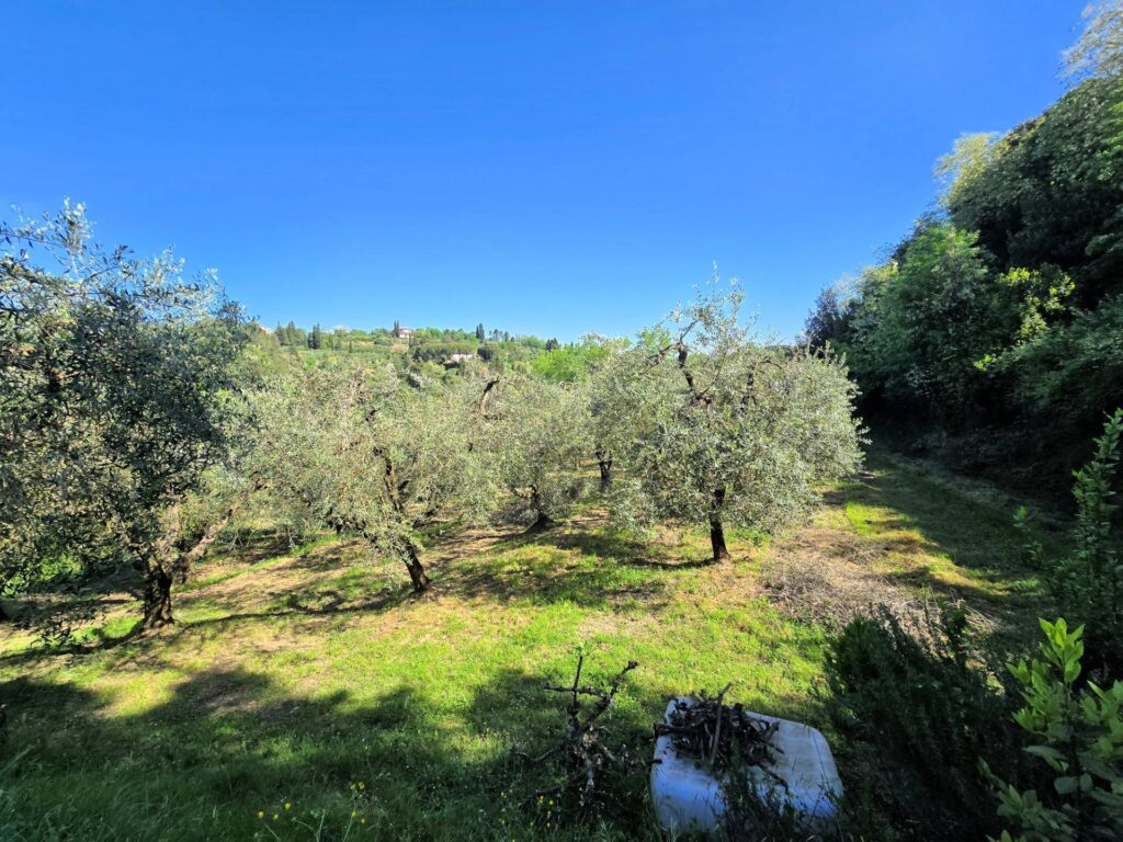 1701-Rustico in stile Toscano con terreno in splendida posizione-Montopoli in Val d'Arno-9 Agenzia Immobiliare ASIP