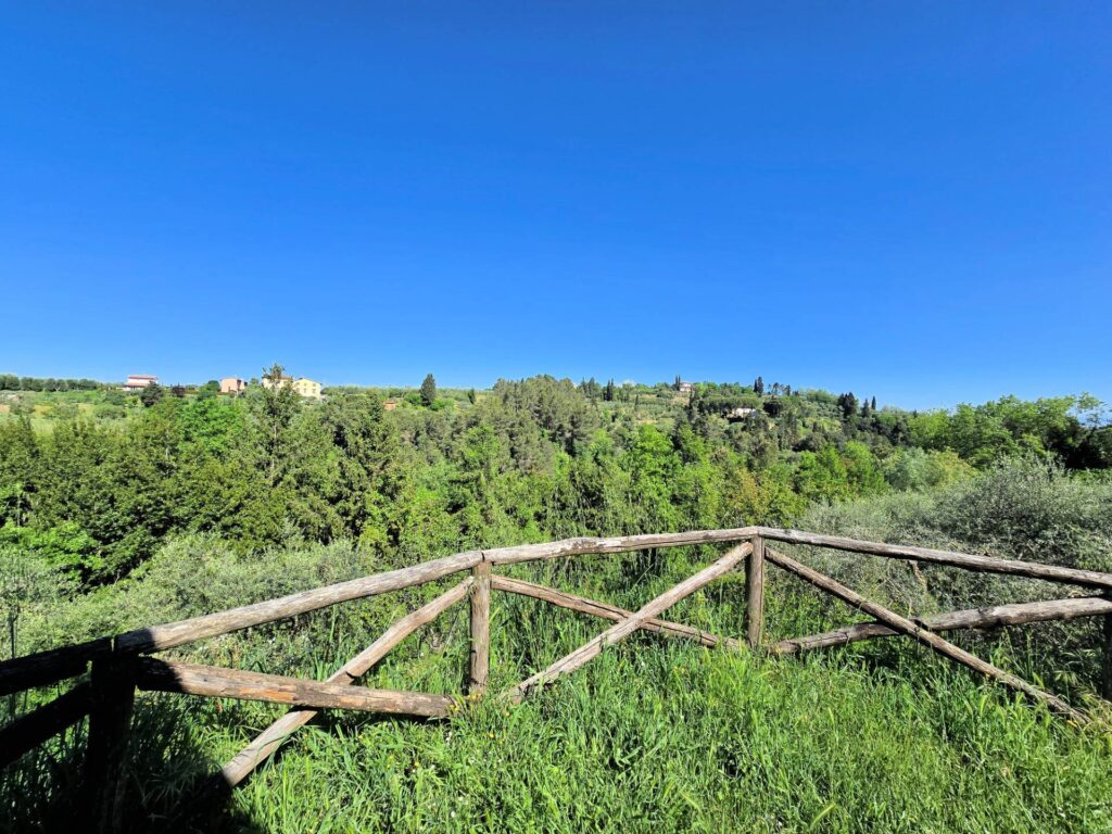 1701-Rustico in stile Toscano con terreno in splendida posizione-Montopoli in Val d'Arno-12 Agenzia Immobiliare ASIP
