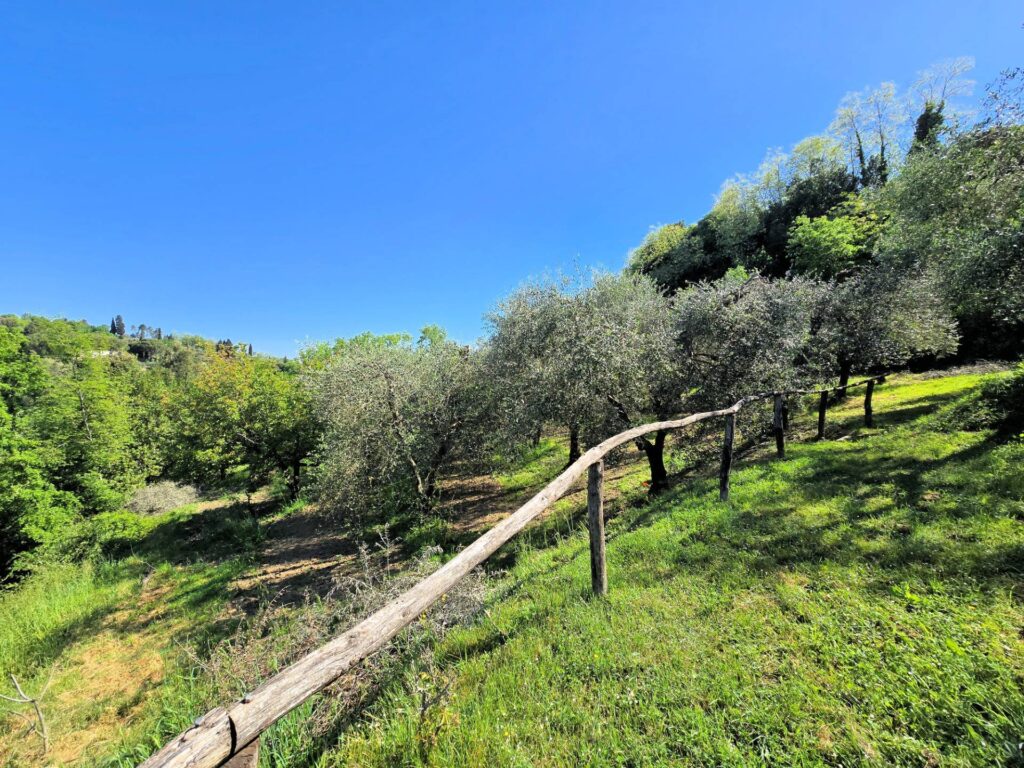 1701-Rustico in stile Toscano con terreno in splendida posizione-Montopoli in Val d'Arno-10 Agenzia Immobiliare ASIP
