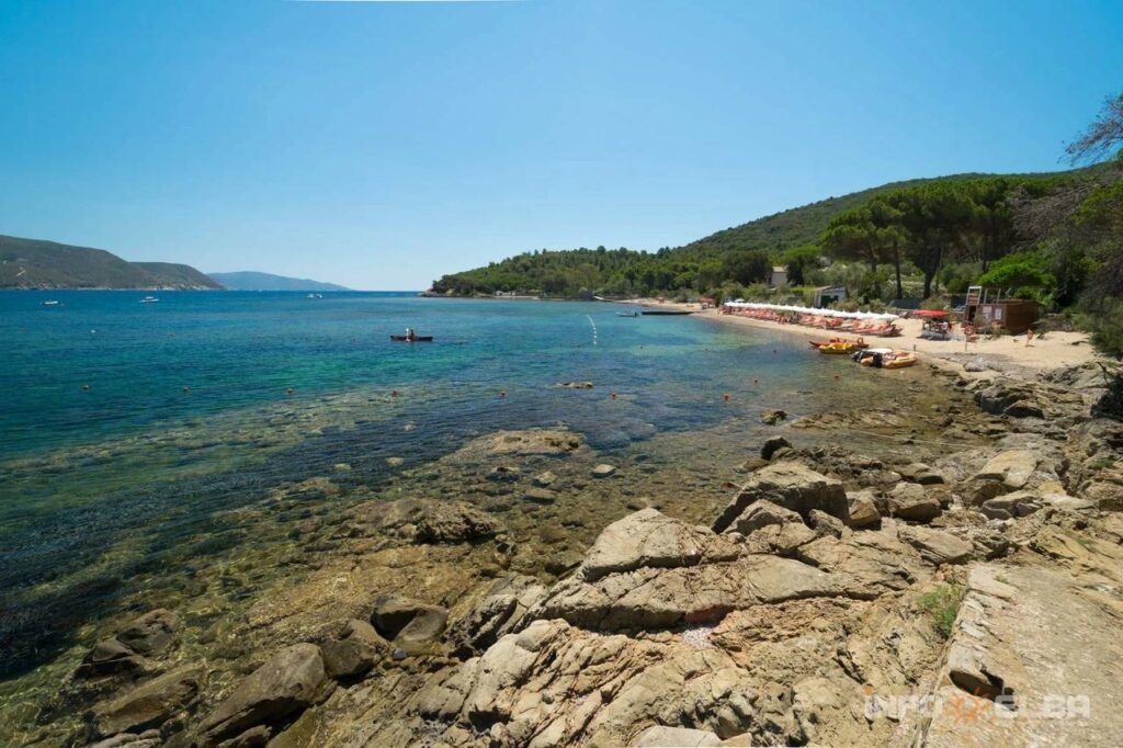 1708-Villa singola in posizione panoramica con vista fino al mare-Marciana Marina-7 Agenzia Immobiliare ASIP