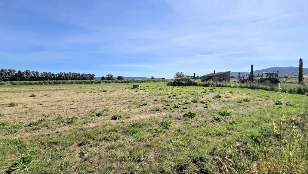 1715-Azienda agricola con vigneto ed oliveto-Scarlino-13 Agenzia Immobiliare ASIP