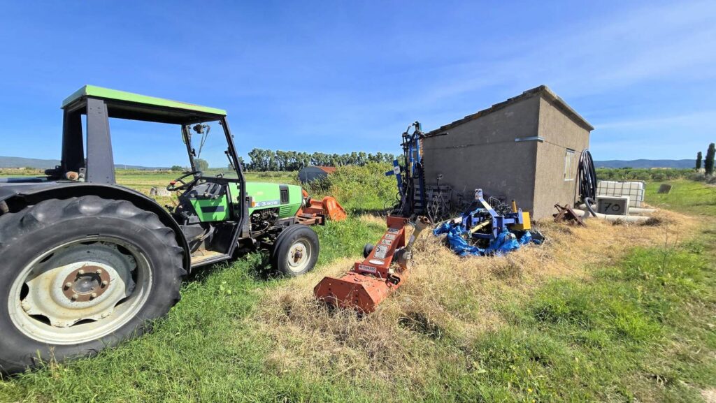 1715-Azienda agricola con vigneto ed oliveto-Scarlino-11 Agenzia Immobiliare ASIP