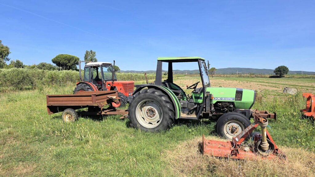 1715-Azienda agricola con vigneto ed oliveto-Scarlino-19 Agenzia Immobiliare ASIP
