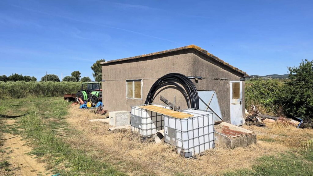 1715-Azienda agricola con vigneto ed oliveto-Scarlino-8 Agenzia Immobiliare ASIP