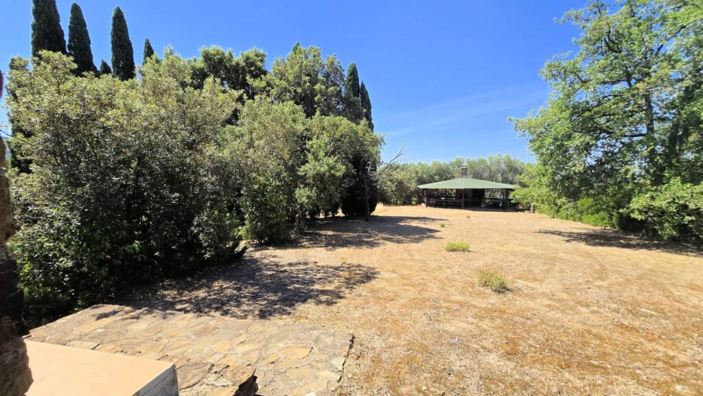 1718-Villa unifamiliare con piscina e ampio terreno-Scansano-6 Agenzia Immobiliare ASIP