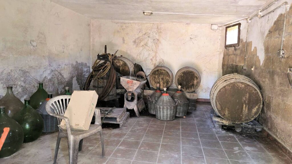 1718-Villa unifamiliare con piscina e ampio terreno-Scansano-22 Agenzia Immobiliare ASIP