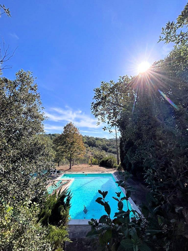 1718-Villa unifamiliare con piscina e ampio terreno-Scansano-3 Agenzia Immobiliare ASIP
