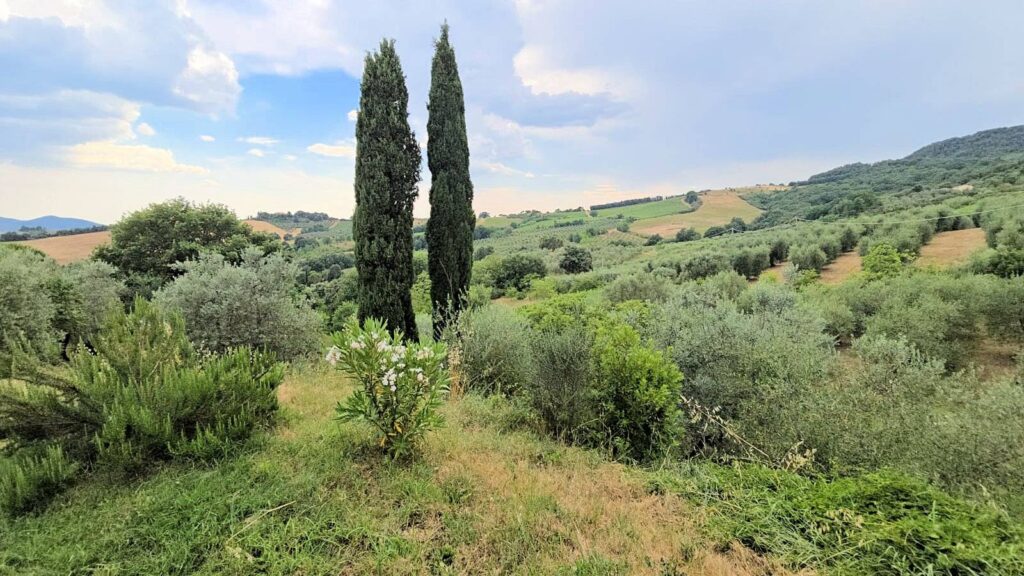 1722-Casa indipendente ristrutturata con terreno e vista panoramica-Roccastrada-4 Agenzia Immobiliare ASIP