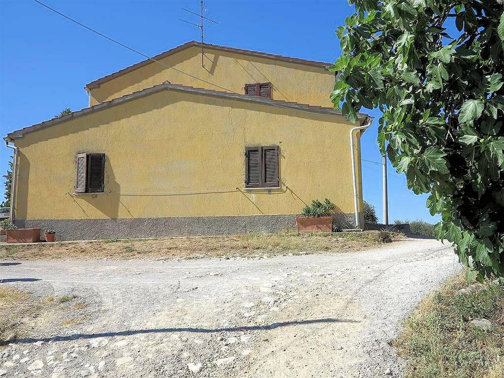1723-Podere da ristrutturare con ampio terreno in posizione panoramica-Magliano in Toscana-9 Agenzia Immobiliare ASIP