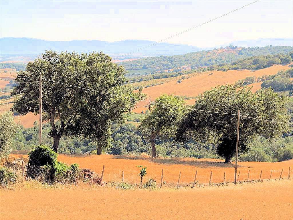 1723-Podere da ristrutturare con ampio terreno in posizione panoramica-Magliano in Toscana-4 Agenzia Immobiliare ASIP