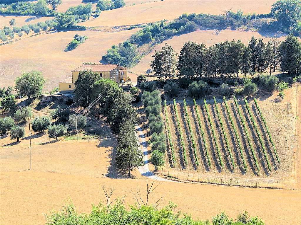 1723-Podere da ristrutturare con ampio terreno in posizione panoramica-Magliano in Toscana-8 Agenzia Immobiliare ASIP