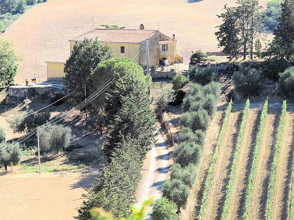 1723-Podere da ristrutturare con ampio terreno in posizione panoramica-Magliano in Toscana-12 Agenzia Immobiliare ASIP