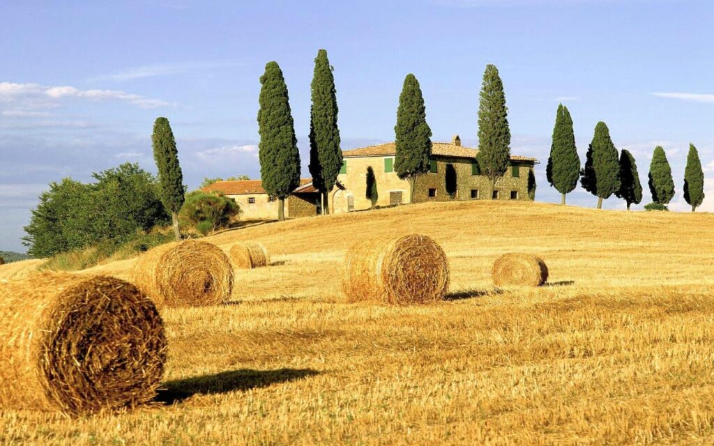 366-Stupendo complesso turistico ricettivo in posizione strategica-Grosseto-9 Agenzia Immobiliare ASIP