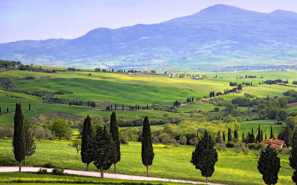 366-Stupendo complesso turistico ricettivo in posizione strategica-Grosseto-17 Agenzia Immobiliare ASIP