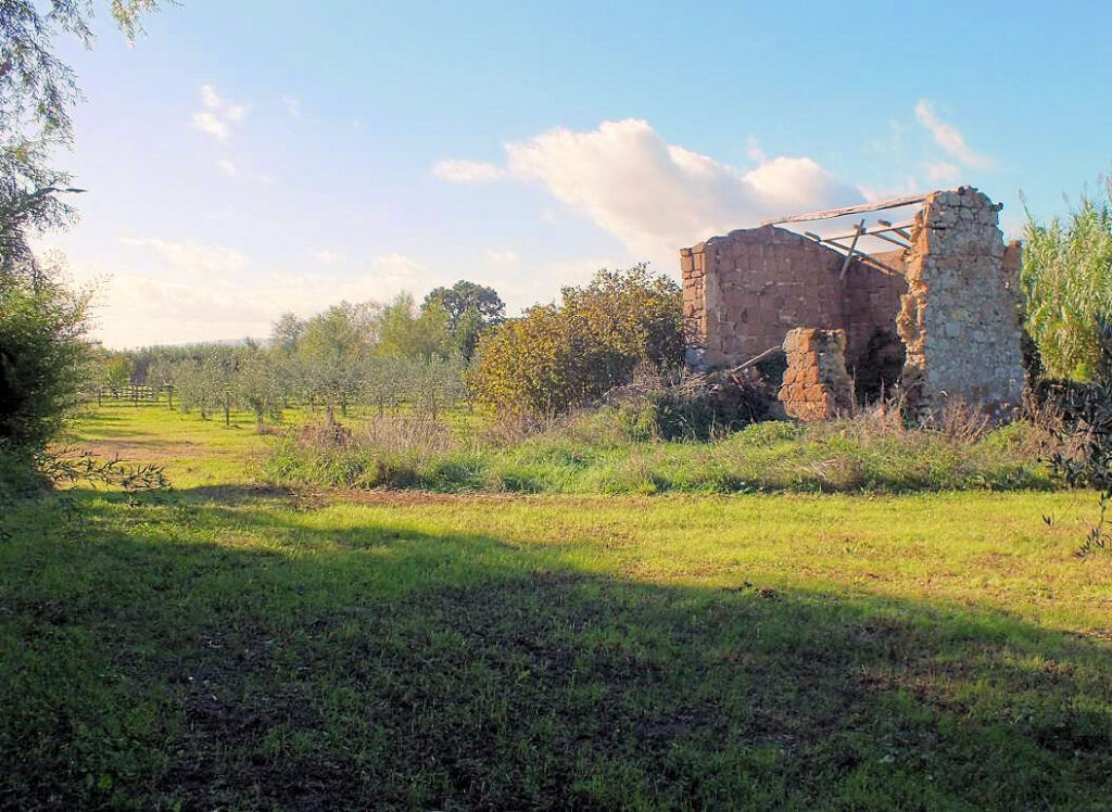 390-Piccola azienda agricola con possibilita' di costruire villa di campagna-Pitigliano-9 Agenzia Immobiliare ASIP