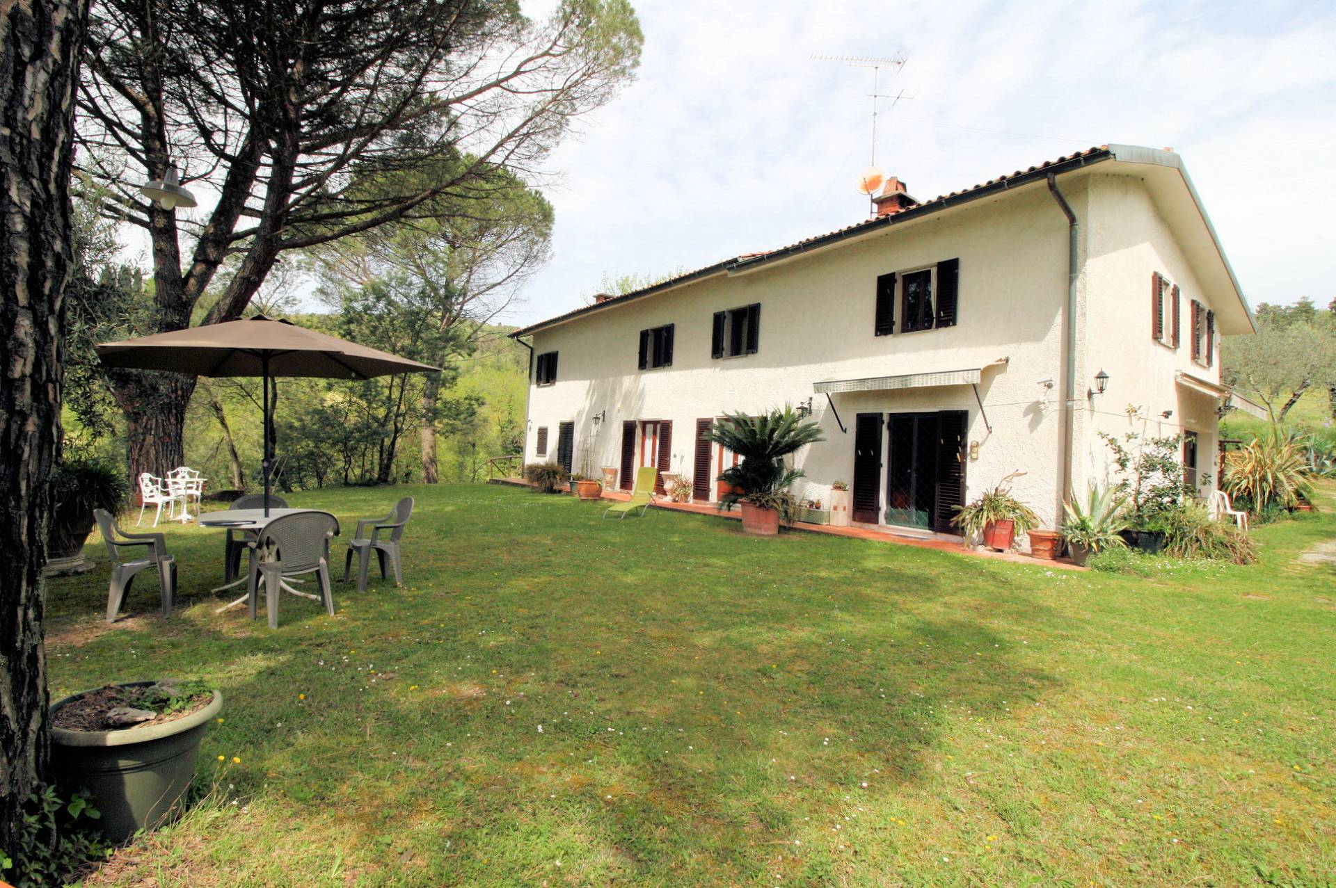 806-Podere con vista panoramica-Monsummano Terme-1 Agenzia Immobiliare ASIP
